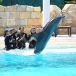 Riythvika Instagram - #dolphinswimming #dolphinpose #dolphins🐬 #dolpinkisses #dolpinlover #spinnerdolphins #dolphinshorts #goodvibes #dolphinfish #singapore #sentosaisland @vishwakavish @janakislvm #shira #nameofthedolphiniswamwith shira