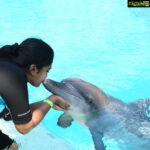 Riythvika Instagram - #dolphinswimming #dolphinpose #dolphins🐬 #dolpinkisses #dolpinlover #spinnerdolphins #dolphinshorts #goodvibes #dolphinfish #singapore #sentosaisland @vishwakavish @janakislvm #shira #nameofthedolphiniswamwith shira