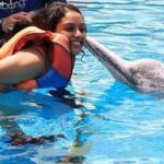 Rupa Manjari Instagram – Memories sunday……A kiss to remember for a lifetime,🐬❤❤❤😘😘😘
My bestie Manoj made one of my dreams come true! Thank God for friends like family! Dunno what i would have done without them ❤🧚🏻‍♀️🌈🌸🌠🌌
 
#singapore #waterpark #dolphins #thrilled_me #sundayfeels #sundaymemories #sunday #holiday #bestfriend  #RupaManjari #actor #southindia #kollywood #mollywood #instagrammer #instadailly #instagirl #instapost #instagram #instaphoto #insta #instasunday #instagood