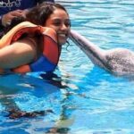 Rupa Manjari Instagram - Memories sunday......A kiss to remember for a lifetime,🐬❤❤❤😘😘😘 My bestie Manoj made one of my dreams come true! Thank God for friends like family! Dunno what i would have done without them ❤🧚🏻‍♀️🌈🌸🌠🌌 #singapore #waterpark #dolphins #thrilled_me #sundayfeels #sundaymemories #sunday #holiday #bestfriend #RupaManjari #actor #southindia #kollywood #mollywood #instagrammer #instadailly #instagirl #instapost #instagram #instaphoto #insta #instasunday #instagood