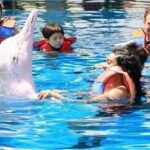 Rupa Manjari Instagram - Memories sunday......and we hugged each other 🤩🤩🐬❤❤❤ My bestie Manoj made one of my dreams come true! Thank God for friends like family! Dunno what i would have done without them ❤🧚🏻‍♀️🌈🌸🌠🌌 #singapore #waterpark #dolphins #thrilled_me #sundayfeels #sundaymemories #sunday #holiday #bestfriend #RupaManjari #actor #southindia #kollywood #mollywood #instagrammer #instadailly #instagirl #instapost #instagram #instaphoto #insta #instasunday #instagood