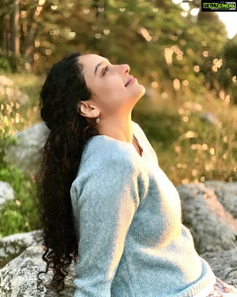 Rupa Manjari Instagram - The sunshine was like the powdered gold all over the grassy hill side πππΈπ§π»ββοΈππ π #sunshineπ #hill #hillstation #sunsetlover #sunsetphotography #yercaud #sunshinetherapy #instagram #instawednesday #instadailly #instagrammer #instagramers #traveldiaries #travel #travelphotography #RupaManjari #actor #kollywood #mollywood #southindia