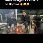 Sadha Instagram - This was the first time I experienced something like this! ☺️ Thanks to @sid_dtr & @dtrjunglehideaways … with @nandita_heggde Nanduuu thank you for capturing my roti making skills! 😀😘 #blessed #mylife #veganfood #veganlife #veganforlife #vegan #ethicalvegan #vegantravel #vegantraveller #dudhwadairies #dudhwa #greenlife #sadaasgreenlife #gratitude #love #healthyfood #eatplantsplanttrees DTR Jungle Hideaways