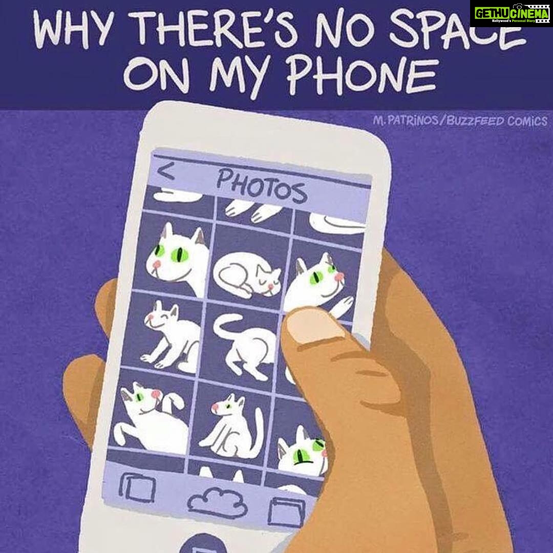Sadha Instagram - This is exactly what happened right now.. Out of memory and I don't know which ones to delete.. Even if there are 20 similar pics of #shera in a row.. 🙊