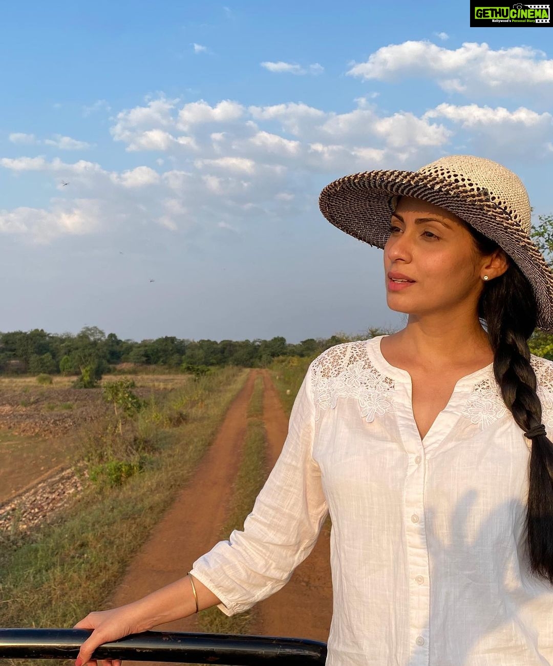 Sadha Instagram - My journey as a Wildlife Enthusiast/Lover has just begun & I can’t wait to see where this path takes me…. @pannatigerreserve_official #Avni #mylife #blessed #intothewild #skyisthelimit #explorer #animallover #wildlife #tiger #bigcats #tigerreserveofindia #pannatigerreserve #gratitude #happiness #sadaasgreenlife Panna Tiger Reserve