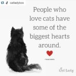 Sadha Instagram - Accurate✔️