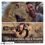 Sadha Instagram - #Repost @basti2108 with @repostapp. ・・・ #shameonyouwalterpalmer #walterpalmer