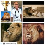 Sadha Instagram - #Repost @kerstindehaan with @repostapp. ・・・ #Repost @itsreesi3 with @repostapp. ・・・ .:This makes me sick to my stomach. The dentist, Walter Palmer, pictured in the upper left corner paid $50,000 to have Cecil the lion, a beloved "lion king" in Zimbabwe, lured out of the protected zone where he roams to he can track him down and hunt him...Cecil was first shot with a bow and arrow and wandered for 40 hours. He was then found, shot, skinned, and beheaded by that filthy, low life scum of the earth bitch. The photo in the upper right hand was the last photo taken of him before he was murdered. R.I.P. beautiful king 😢:. #Cecilthelion #lions #lionking #saveouranimals #shameonyouwalterpalmer #scumbag #WalterPalmer #rip #beautiful #creature #animals #animallovers #instalove #instamood #summertimesadness #peace #unity #instagramers #instagramhub #igdaily