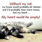Sadha Instagram – Only cat people can understand this! 😻