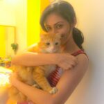 Sadha Instagram - My shera! #ilovemypet #ilovemycat #furball #cute #instapet #instacat #catstagram #meow #purrfect #sheru 😘😘😘
