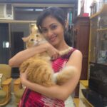 Sadha Instagram – ️shera #myfurball #adorable #cute #ilovemycat #ilovemypet #instacat #catstagram #instapet #petsofinstagram #unconditionallove #purrfect #sheru😘😘😘