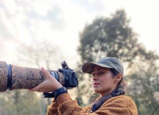 Sadha Instagram - My happy place! 💚 #nofilters #winter #mylife #blessed #sadaasgreenlife #forest #safari #wildlife #wildlifesafari #bigcats #tigers #pench #penchtigerreserve #collarwali #mataram Pench National Park