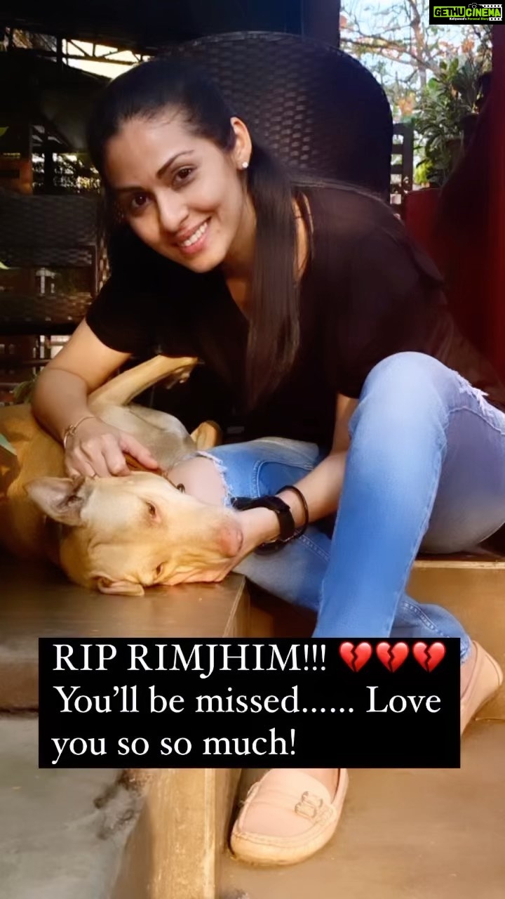 Sadha Instagram - Lost another precious soul… Our Darling RimJhim! 💔💔💔 RimJhim was one of the furry mascots of @earthlings.cafe 🐾 She didn’t belong to us but right from the start, she made the cafe her own, showered us & our guests with all the love she had… She knew how to give & get attention.. It wasn’t easy to not fall in love with this beauty at the very first sight… Some first time visitors who’d have seen her on our stories would come wanting to meet her.. Such was her charm! A young soul lost her battle to cancer which was detected in the terminal stage.. Yesterday, 22-02-2022 @6:32 pm, she breathed her last.. 😔 All I have is these memories of her seeking and giving love to Earthlings patrons and friends.. Rimjhim! Run free girl! Shine like a star you always were! 💫 See you on the other side of the rainbow bridge.. Until then Will Miss You & How! 🐾 #rip #dog #doglover #animallovers #earthlingscafe #rimjhim #dogsofinstagram #dogsofinsta