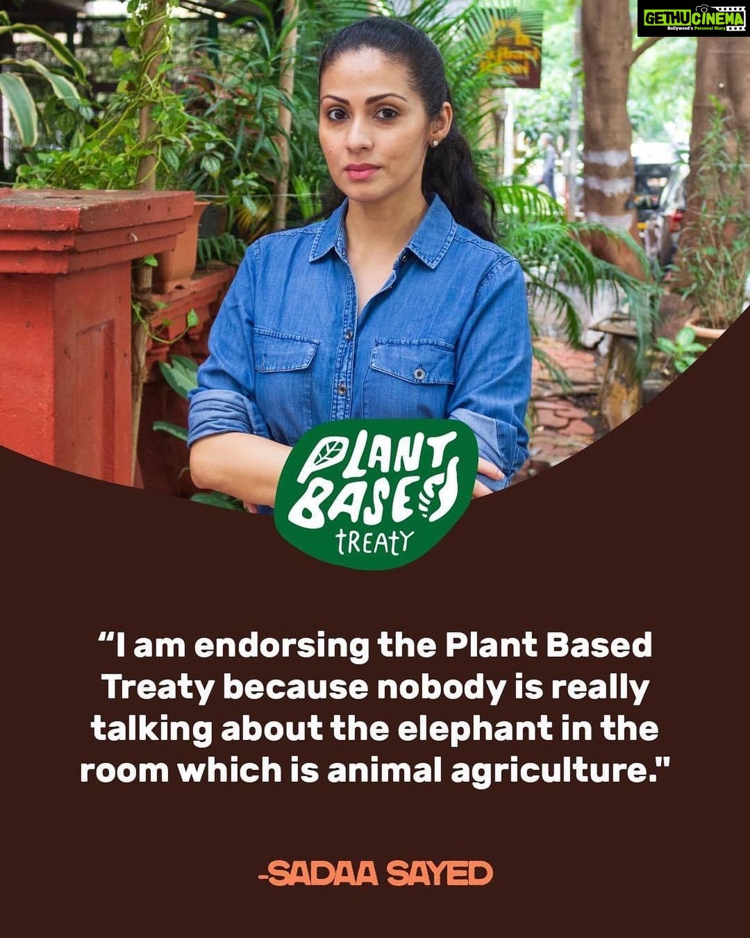 Sadha Instagram - I’m lending my support to the Plant Based Treaty. I’m endorsing the Plant Based Treaty because nobody is really talking about the elephant in the room which is animal agriculture." Take Action: 1️⃣ We are launching the Plant Based Treaty website on Aug 31 where you will be able to endorse the treaty and download guides on taking plant-based actions 2️⃣ Follow us on Facebook, Twitter, YouTube and TikTok and tell all your friends by sharing our posts! Use #PlantBasedTreaty 3️⃣ We are planning actions in 50 cities for our Aug 31 launch including Mumbai, email hello@plantbasedtreaty.org if you'd like to organize an action at your city hall asking your city to endorse the treaty. #vegansofindia #veganmumbai #vegansofig #veganactor #compassion #loveallanimals #ethicalvegan #animallover #gogreen #govegan #plantbased #veganfood #healthyfood #earthlingscafe #healthy #mumbaivegans #vegansofindia #crueltyfree #veganlifestyle #eid #sacrifice #love #loveallanimals #loveallbeings #earthlings #lifepurpose #bekind #bekindtoallkinds Earthlings Cafe