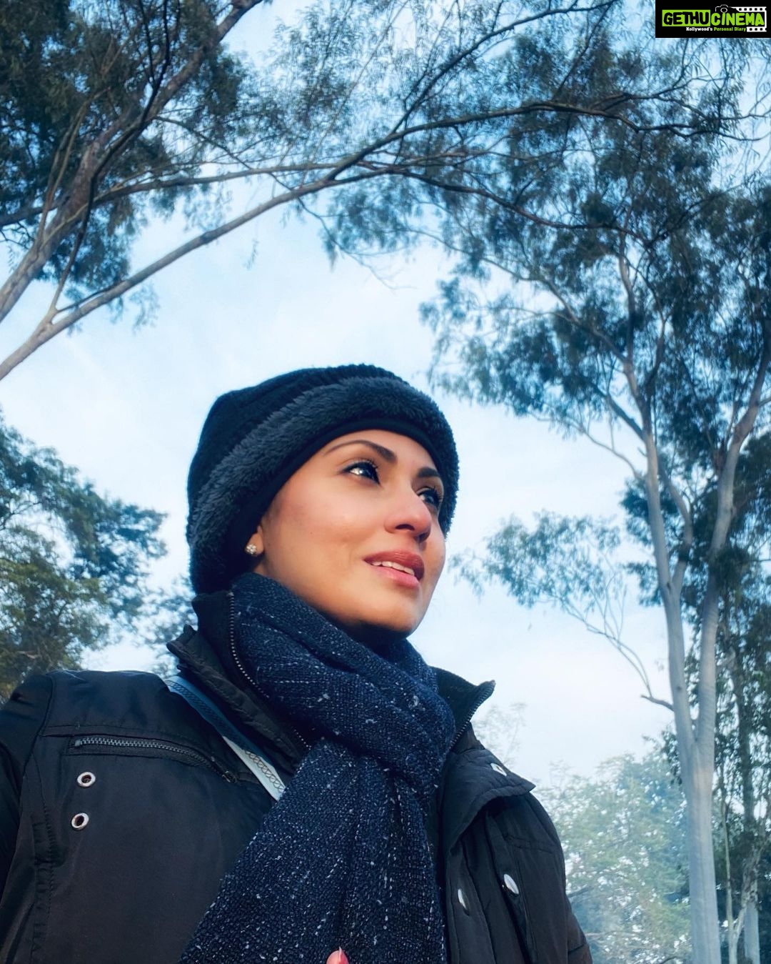 Sadha Instagram - Early morning + Winters + Forests!!! Deadly combination! Still smiling… 😀 #safaris #wildlife #dudhwanationalpark #dudhwa #dudhwaunofficial #wild #intothewild #forests #forestsafari #winters #tigers #love #bigcats #animallover #sadaasgreenlife Dudhwa Tiger Reserve and Kishanpur Wild Life Sanctuary