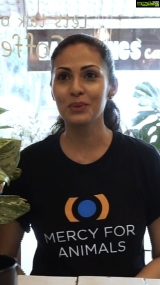 Sadha Instagram - With @mfa_india, i get to share my views on the link between animal agriculture and environment destruction, also my love for nature and some fun facts about @earthlings.cafe 💚 #vegansofindia #veganmumbai #vegansofig #veganactor #compassion #loveallanimals #ethicalvegan #animallover #gogreen #govegan #plantbased #veganfood #healthyfood #earthlingscafe #healthy #mumbaivegans #vegansofindia #crueltyfree #veganlifestyle #earthday #climatechange #globalwarming #deforestation #environment