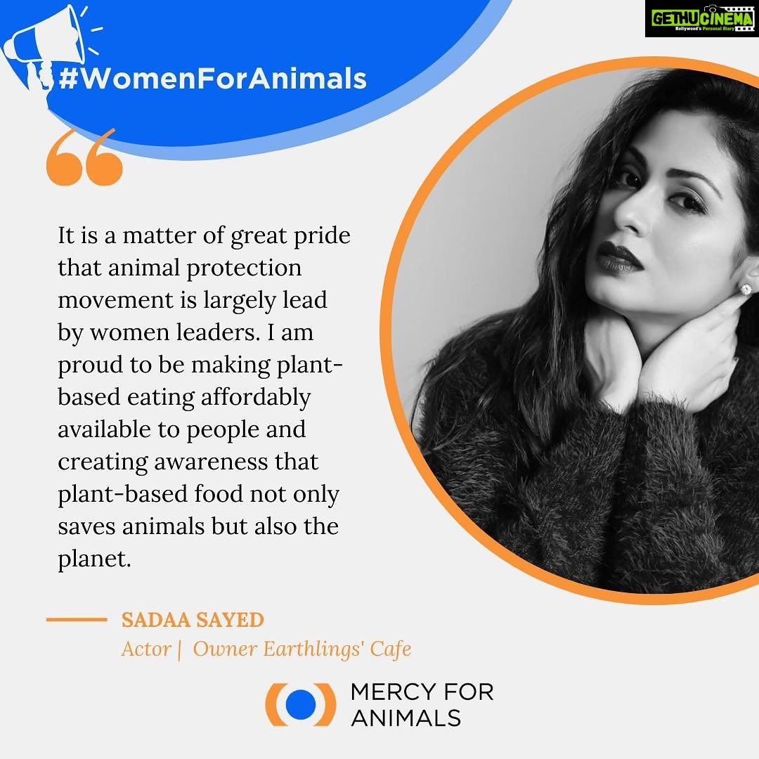 Sadha Instagram - Life is found a whole new meaning ever since I went Vegan. It’s not about me anymore. It’s about the animals. It’s only and only for them and to reduce their pain and suffering, that I strive to continue making the best use of my life. I couldn’t have been more grateful to the universe for bringing this upon me. This Women’s Day as every other day I choose to speak for females across all species that are a victim of exploitation by humans. It’s a normal practice in animal agriculture to forcefully impregnate the females to keep the supply on. And I stand against it strongly! #womensday #vegansofindia #veganmumbai #vegansofig #veganactor #compassion #loveallanimals #ethicalvegan #animallover #gogreen #govegan #plantbased #veganfood #healthyfood #earthlingscafe #healthy #mumbaivegans #vegansofindia #crueltyfree #veganlifestyle Earthlings Cafe