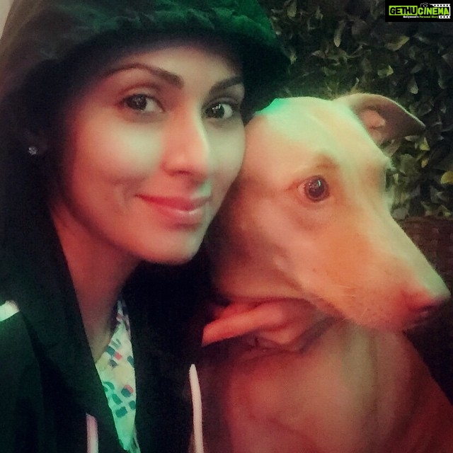 Sadha Instagram - #selfietime #metime #rimjhim #beauty #uncondinationallove #vegan #loveforanimals Earthlings Cafe