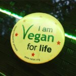 Sadha Instagram - #VeganLife #ditchdairy #govegan #guiltfree #dairyfree #healthyliving #conciousliving #notmymothernotmymilk #liveandletlive #indianvegan #vegansofig