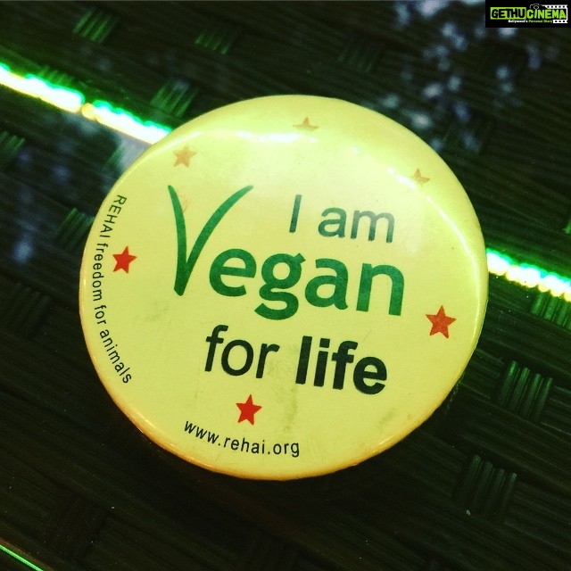 Sadha Instagram - #VeganLife #ditchdairy #govegan #guiltfree #dairyfree #healthyliving #conciousliving #notmymothernotmymilk #liveandletlive #indianvegan #vegansofig