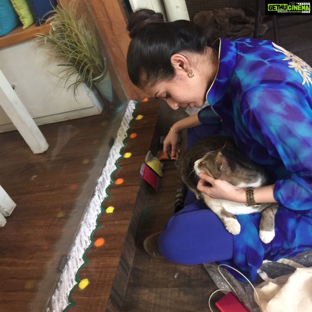 Sadha Instagram - When your work place becomes your home! Earthlings Cafe is where I spend my 12/13 hours everyday and even when I'm back home, this is what keeps me occupied.. Acting was always a passion but what Veganism is done to me, is something I would probably never be able to put in words. There are numerous challenges in this task I've taken upon myself but each day when I wake up the thought of those million babies being exploited for food gives me more than enough courage to battle anything that comes my way! That reminds me we've successfully completed our 6 months! π Also there are so many new things I find myself doing here for the first time in my life.. Just like this Rangoli, of course with the kind help extended by MoMo! The one who represents ALL THE EARTHLINGS out there! Happy Diwali everyone! #GoGreen #GoVegan #LiveAndLetLive #SayNoToCrackers