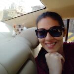 Sadha Instagram - Comment a suitable caption for this pic defining kitten Arya's priceless expression! C'mon tell me what he is thinking....😀😀😀 #expressivekitten #kittenofinstagram #cutie #adoptdontshop