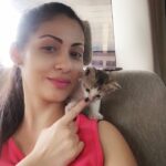 Sadha Instagram - Kitten kisses unlimited! 💗💓💖 #kittylove #crazycatlover #animallover #unconditionallove #adoptdontshop #desi #cats #cutekittens #catsofig