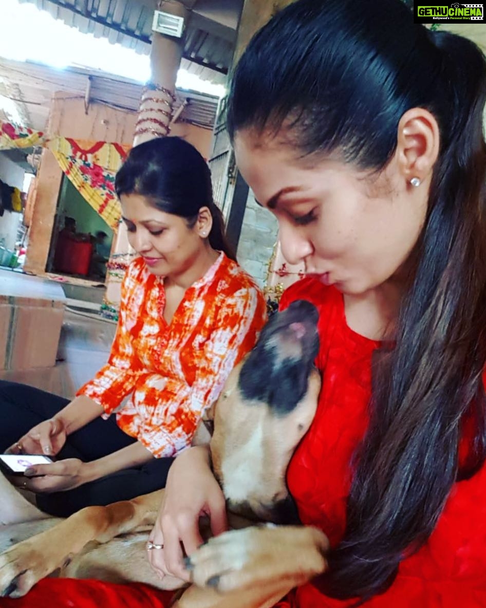Sadha Instagram - While you are praying to God and He sends one of His beloved creations to bless you, you can only exclaim "OH MY DOG! And accept all the love you are showered with.." #animallover #peace #love #gratitude #blessings #templedog