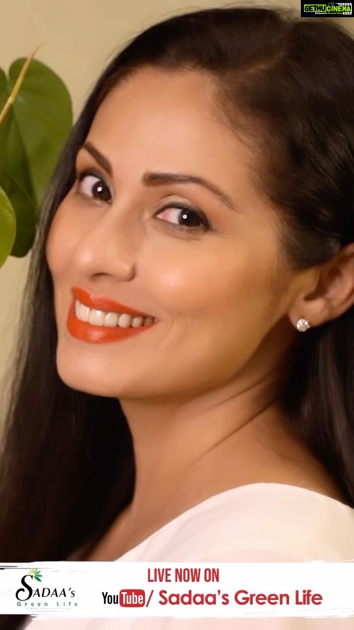 Sadha Instagram - I’m all about simplifying things, be it Skincare or Makeup, even for Special Occasions! This video is all about that! Do check out on my YT channel #SadaasGreenLife I’ve brought to you my Go-To SkinCare & MakeUp Look, that’s quick & easy to follow. These products are not just Cruelty Free & Vegan but also work for me as a Minimalist. The products from @glutaweis have helped me rid of my tan & achieve the radiance that’s much needed ahead of the party season! Don’t we need that actually any time of the year! 😀 Available on www.glutaweis.com and Nykaa, Purplle, TataCliq Luxury & Amazon #SkinCare #GlowingSkin #Sadaa #partyseason #ActressSadaa #SkinCareProducts #VeganProducts #veganlifestyle #vegansforlife #mumbaivegans #vegansofindia #veganactor #VeganMakeup #CrueltyFreeMakeup #SadaasGreenLife #SimpleLiving #conciousliving #ActressSadaa #beautywithoutcruelty #partymakeup