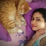 Sadha Instagram - I really don't mind being ill for a few more days if this furrball/purrball, my precious healer, gives me his most valued company! Strangely enough I'm enjoying it and how!! 😅😍😘 #Shera #loveofmylife #appleofmylife #loveyoutothemoonandback #selfiewithshera #selfietime #catsofinstagram #catlover #animallover #love #weekendvibes #homesweethome