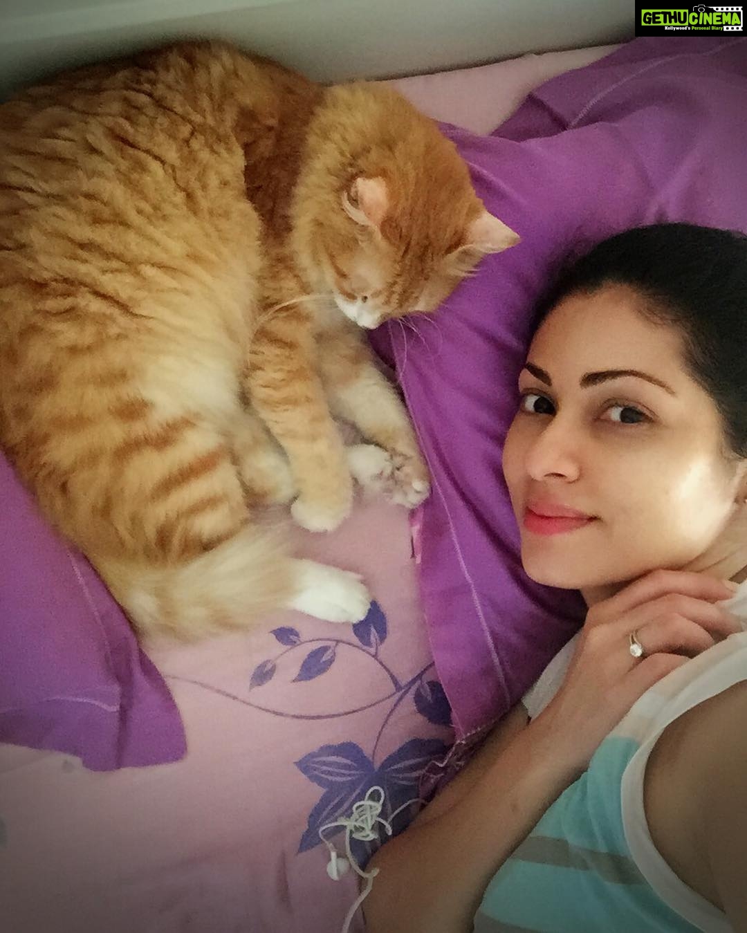 Sadha Instagram - I really don't mind being ill for a few more days if this furrball/purrball, my precious healer, gives me his most valued company! Strangely enough I'm enjoying it and how!! 😅😍😘 #Shera #loveofmylife #appleofmylife #loveyoutothemoonandback #selfiewithshera #selfietime #catsofinstagram #catlover #animallover #love #weekendvibes #homesweethome