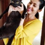 Sadha Instagram - My crazy girl, Laila!!! There's practically no way of taking a pic with her!! 😂😂😂 @the_12_pawprints I don't know if I should thank you for this 🙈 #candidatitsbest #catlover #animallover #adoptdontshop #pictureimperfect #blackcatsofinstagram