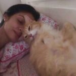 Sadha Instagram - Nothing's more beautiful and calming about the morning than waking up next to this boy! 😍😘 Not a clear picture but the moment was worth capturing! Good morning!! Enjoy the weekend! 😀😀 #loveyoutothemoonandback #kingofmycastle #loveofmylife #sheru #crazycatlady #catlover #animallover #adoptdontshop #unconditionallove #latemorning #lazymorning #morningpost