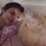 Sadha Instagram – Nothing’s more beautiful and calming about the morning than waking up next to this boy! 😍😘
Not a clear picture but the moment was worth capturing! 
Good morning!! Enjoy the weekend! 😀😀
#loveyoutothemoonandback #kingofmycastle #loveofmylife #sheru #crazycatlady #catlover #animallover #adoptdontshop #unconditionallove #latemorning #lazymorning #morningpost