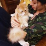 Sadha Instagram - My concept of a Saturday night ❤️🙈😘 #crazycatlady #appleofmyeye #loveyoutothemoonandback #sheru #catsofinstagram