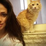Sadha Instagram - My precious boyyy!!! 😘😘😘 #sheru #appleofmyeye #kingofmycastle #loveyoutothemoonandback #adoptdontshop #animallover #catlover #crazycatlady