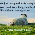 Sadha Instagram - #bevegan #gogreen #bekind #animallover #guiltfree #healthyliving #liveandletlive