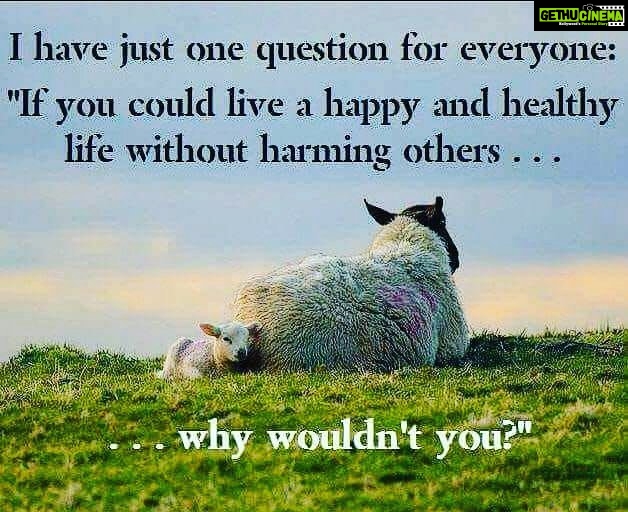 Sadha Instagram - #bevegan #gogreen #bekind #animallover #guiltfree #healthyliving #liveandletlive