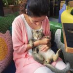 Sadha Instagram – Me being me!! #tbt to a beautiful evening! ❤️ #straylove #crazycatwoman #lapcat #animallover #catlover #bekind #candid
