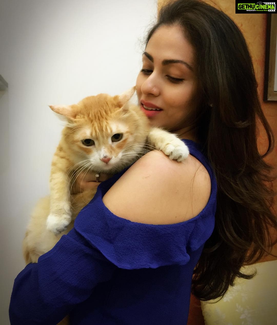 Sadha Instagram - #Sheru #appleofmyeye #kingofmycastle #loveyoutothemoonamdback 😘
