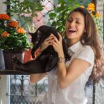 Sadha Instagram - Happy International Cat Day to me, #Sheru & #Laila and all the crazy cat lovers!!! 😻😻😻 #internationalcatday #crazycatlady #catsofinstagram #instacats P.C: @filipjedra