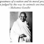 Sadha Instagram – “It’s a day of celebrations,
It’s a day to value a special person,
The person who is the cause of our nation,
Who taught world the lesson of non-violence,
It’s the birth anniversary of Mahatama Gandhi — The Father of our Nation” 🙏🙏🙏
#gandhijayanti #jaihind #salute