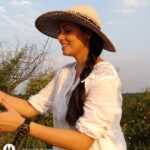 Sadha Instagram - The Golden Light! ☀️ #candid #panna #pannatigerreserve #pannantaionalpark #sadaa #sadaasgreenlife #tigers #bigcats #traveller #explorer #wildlifer #nature #naturelover #wildlife Panna Tiger Reserve