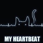 Sadha Instagram - Yessss!! ❤️