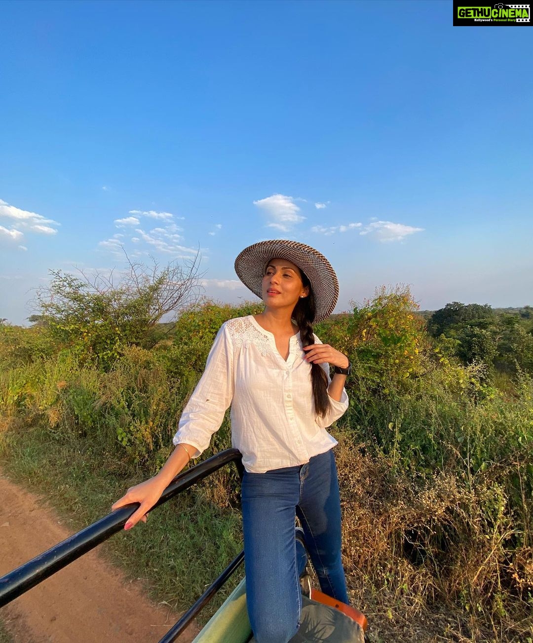 Sadha Instagram - My journey as a Wildlife Enthusiast/Lover has just begun & I can’t wait to see where this path takes me…. @pannatigerreserve_official #Avni #mylife #blessed #intothewild #skyisthelimit #explorer #animallover #wildlife #tiger #bigcats #tigerreserveofindia #pannatigerreserve #gratitude #happiness #sadaasgreenlife Panna Tiger Reserve