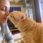 Sadha Instagram - My life! 😀🐈 #crazycatlady #catsofinstagram #rescue #rescuecat #adoptdontshop #cats #catslover #blessed #vegan #animallover