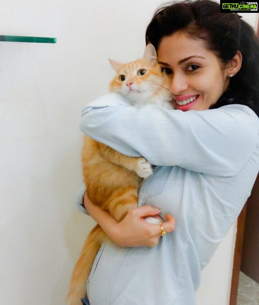 Sadha Instagram - #appleofmyeye #loveofmylife #kingofmycastle #sheru ❤️
