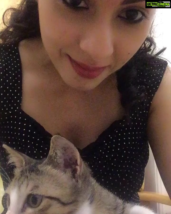 Sadha Instagram - #sundaymorning #loveanimals #bliss 😻