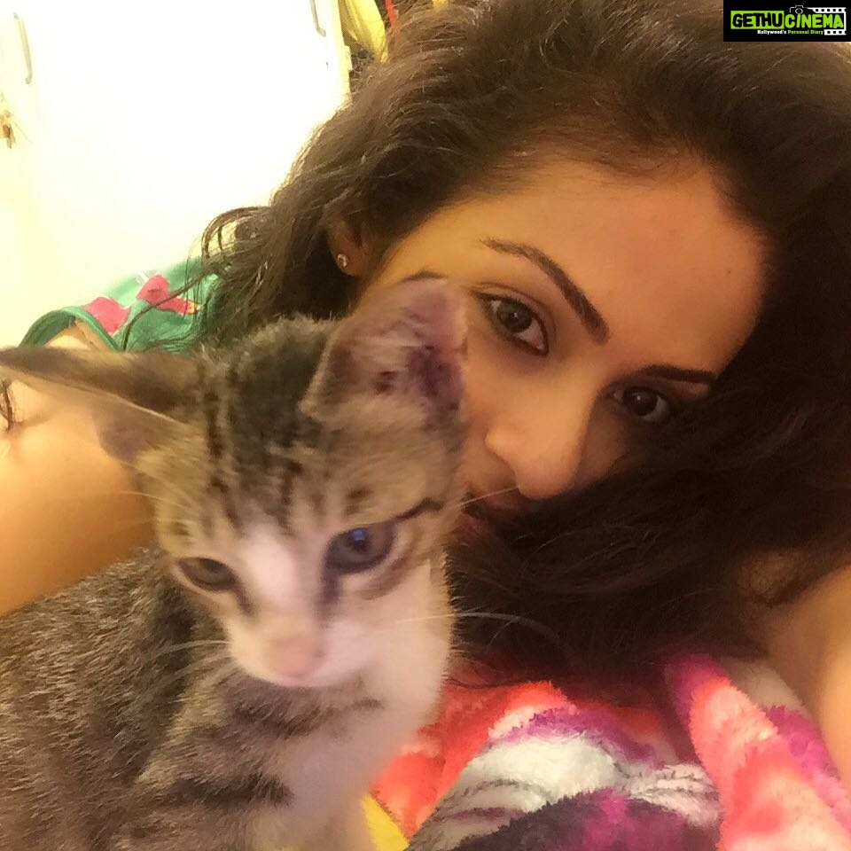 Sadha Instagram - Preparing to say #goodbye to this little one who is going to his #foreverhome tomorrow.. #rescue & #foster 😘❤️