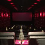 Sadha Instagram - What a well made theatre! N what a well made film! #msdhoni #pvr
